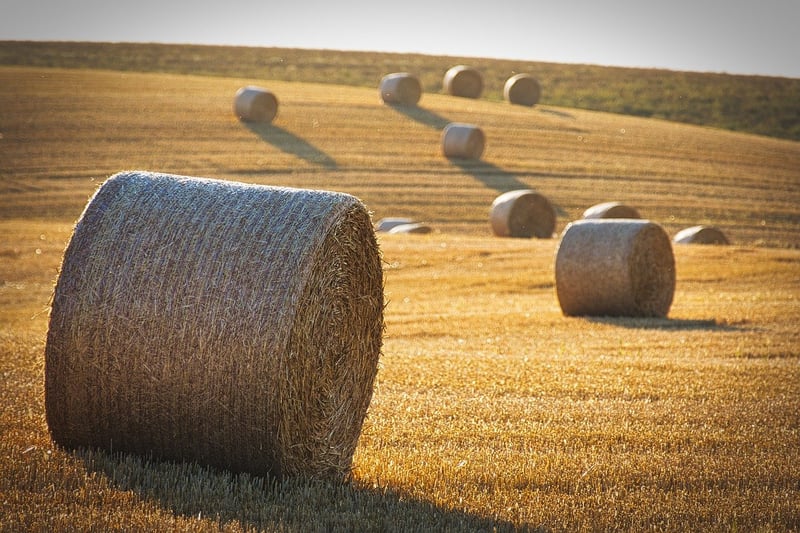 Maximizing Yield