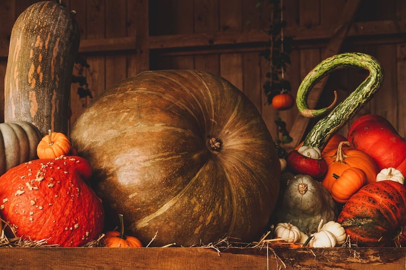 Pumpkin Harvest